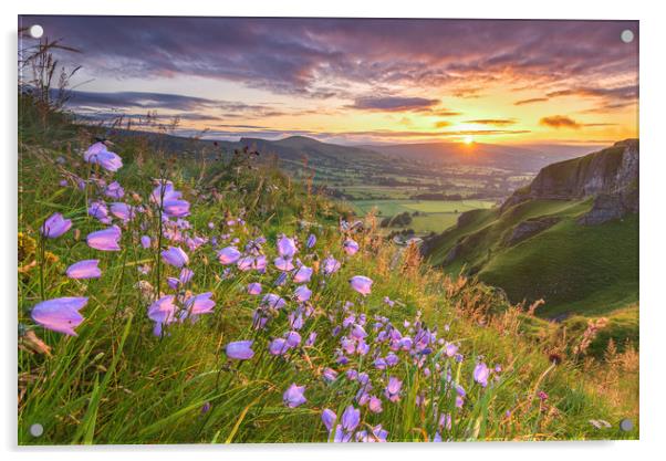 Harebell sunrise on Winnats Pass, Derbyshire Acrylic by John Finney