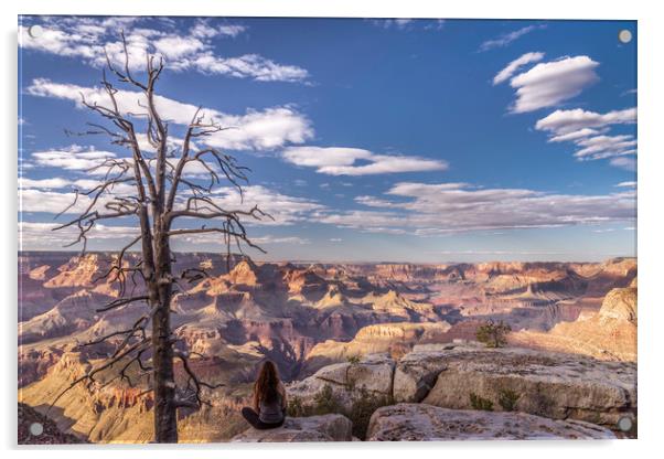 Contemplation over the Grand Canyon  Acrylic by John Finney