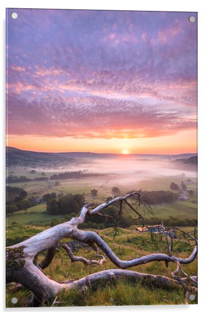 Old Fallen Tree at sunrise. Peak District. Acrylic by John Finney