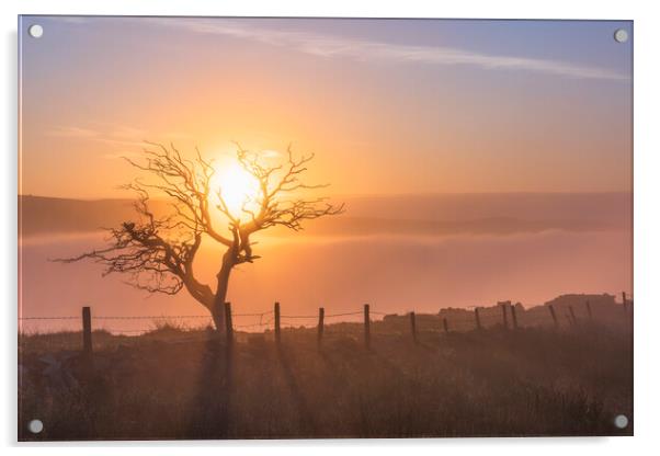 Cracken Edge sunrise near Chinley Acrylic by John Finney