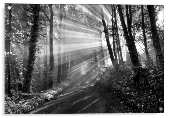 Lightrays through woodland. Peak District.  Acrylic by John Finney