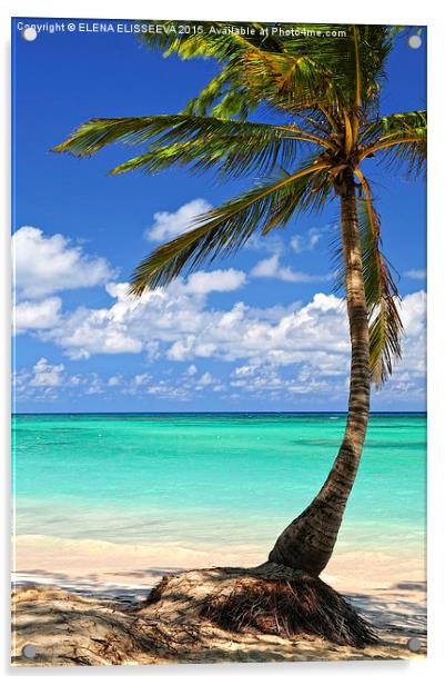 Palm tree on tropical island beach Acrylic by ELENA ELISSEEVA