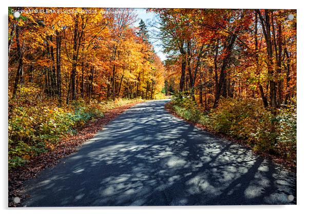 Road in fall forest Acrylic by ELENA ELISSEEVA