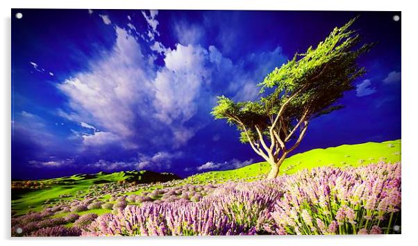 Lavender fields Acrylic by Dariusz Miszkiel