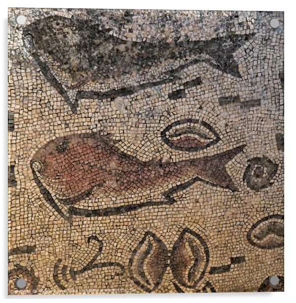 Roman Fish Mosaic of Milreu Acrylic by Angelo DeVal