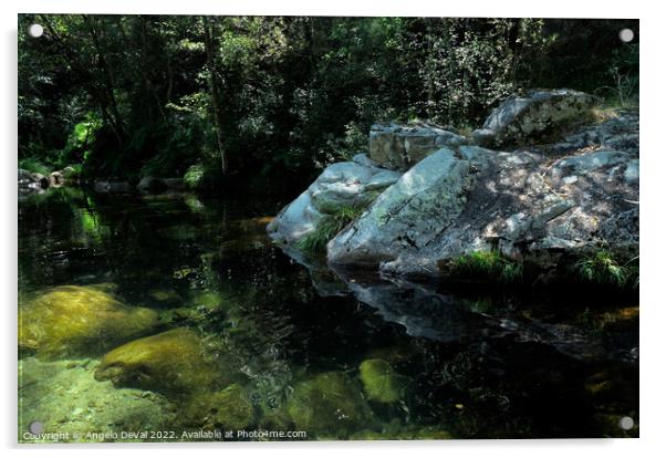 Rocks and peaceful river in Carvalhais Acrylic by Angelo DeVal