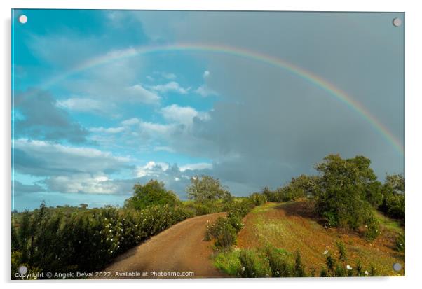 Path to Rainbow in Alentejo Acrylic by Angelo DeVal