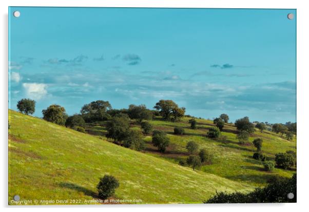 Green Fields of Alentejo After Rain Acrylic by Angelo DeVal