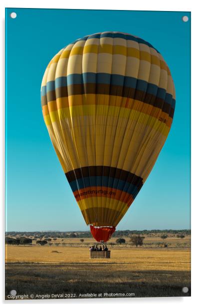 Hot Air Balloon on Alentejo Fields Acrylic by Angelo DeVal