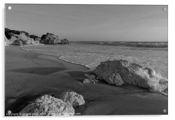 Low Tides in Gale Beach - Monochrome Acrylic by Angelo DeVal