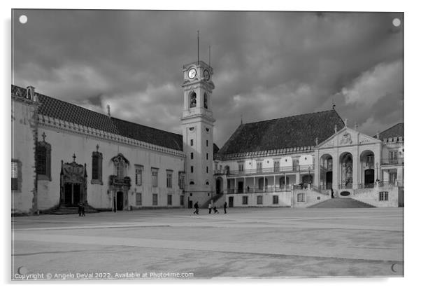 Coimbra University in Portugal - Monochrome Acrylic by Angelo DeVal