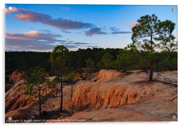 Quiet Pine Trees at Twilight in Algarve Acrylic by Angelo DeVal