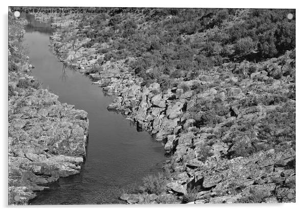 River on the Rocks. BW version  Acrylic by Angelo DeVal