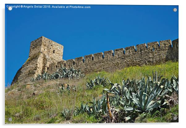 Castle Wall in Mertola  Acrylic by Angelo DeVal