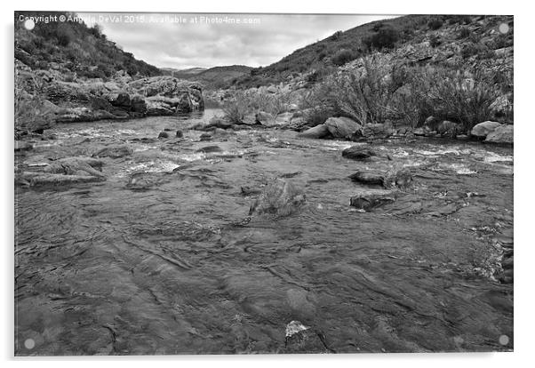 River Flow Acrylic by Angelo DeVal