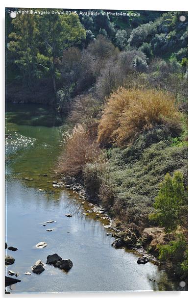 Oeiras Creek and vegetation in Alentejo  Acrylic by Angelo DeVal