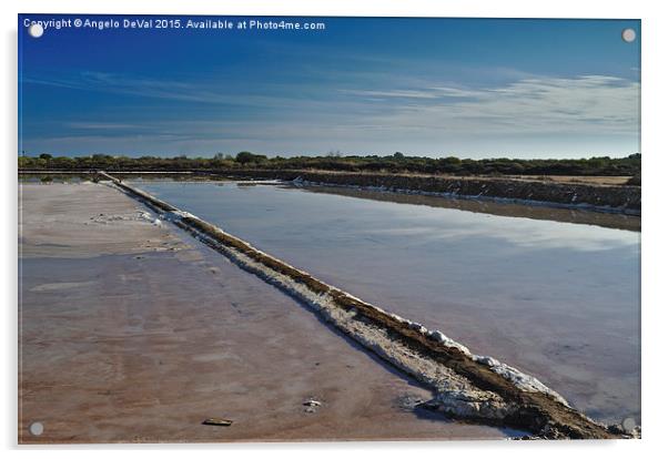 Salt Evaporation Ponds in Algarve Acrylic by Angelo DeVal