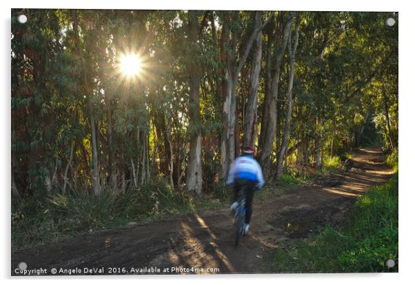 Forest Cycling Journey Acrylic by Angelo DeVal