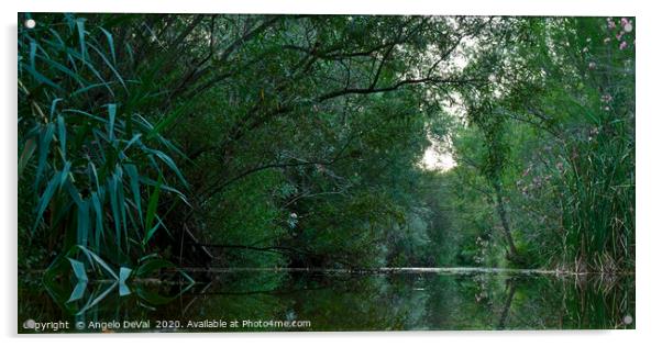 Calm river scenery in Fonte da Benemola. Querenca Acrylic by Angelo DeVal
