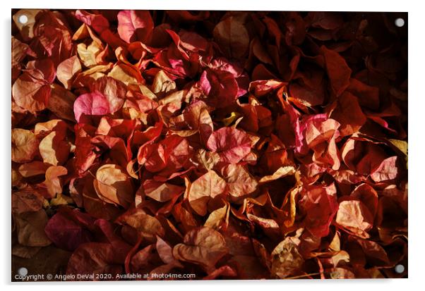 Fallen Bougainvillea Flowers. Sepia Acrylic by Angelo DeVal