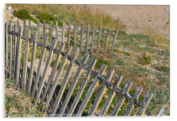 Dunes Fence in Algarve Beach Acrylic by Angelo DeVal