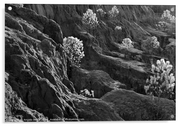 Cliff Pine Trees in Monochrome Acrylic by Angelo DeVal