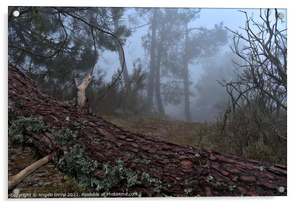 Forest and fog in Serra da Estrela Acrylic by Angelo DeVal