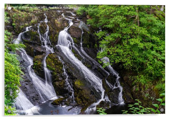 Swallow Falls near Betws-Y-Coed Acrylic by Beata Aldridge