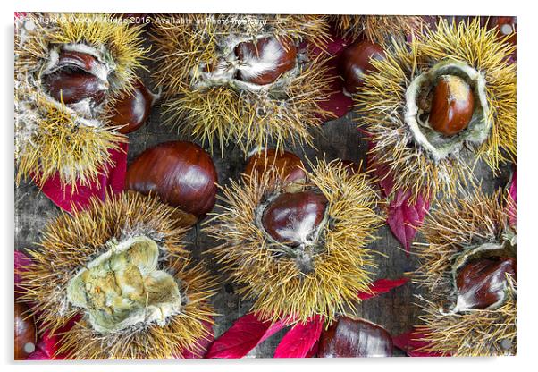  Autumn chestnuts Acrylic by Beata Aldridge