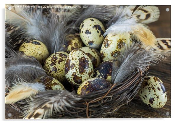 Eggs in the nest Acrylic by Beata Aldridge