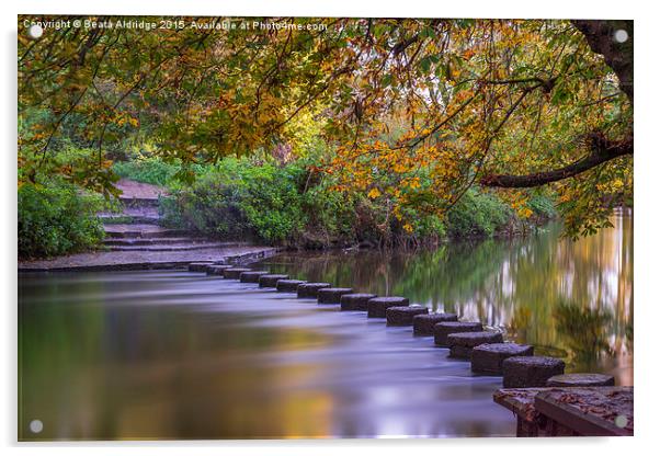 Stepping Stones Acrylic by Beata Aldridge