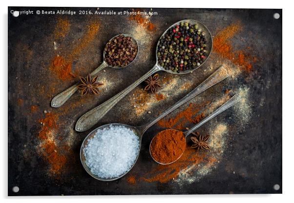 The world of spices Acrylic by Beata Aldridge