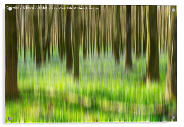 Dreamy forest Acrylic by Beata Aldridge