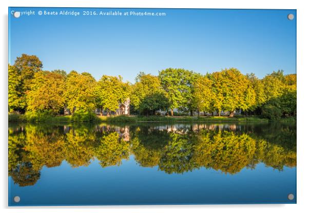 Autumn tree reflections in the lake Acrylic by Beata Aldridge