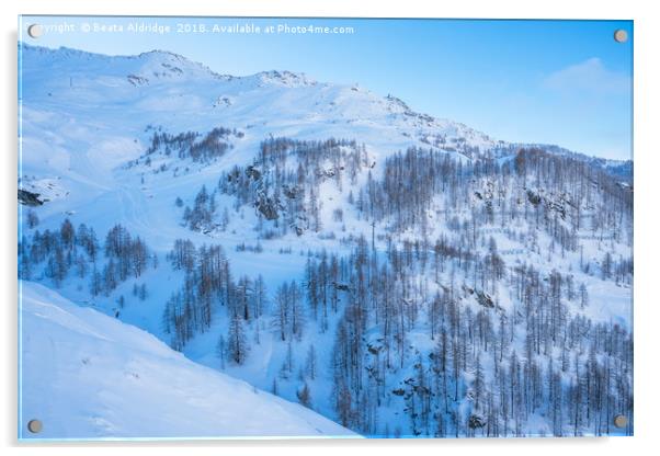 Italian Alps in the winter Acrylic by Beata Aldridge