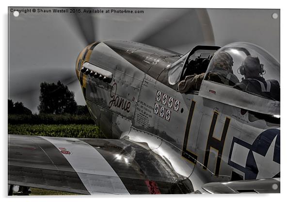 P51 Mustang  " JANIE " Acrylic by Shaun Westell