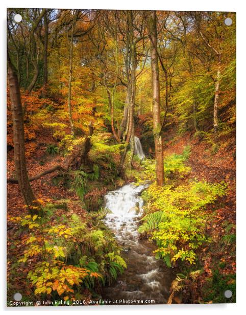 Autumn Fall 2 Acrylic by John Ealing