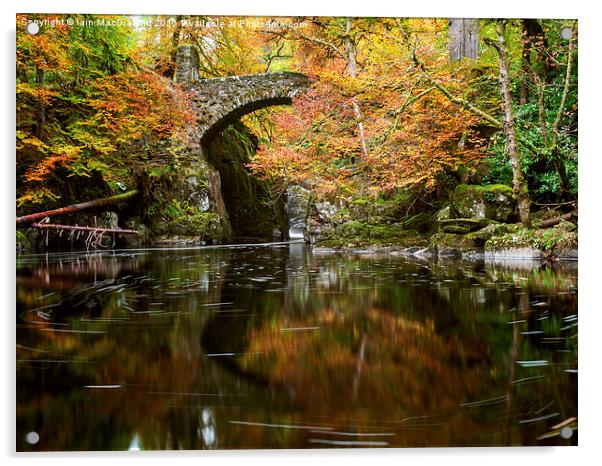 Hermitage Bridge, River Braan Acrylic by Iain MacDiarmid