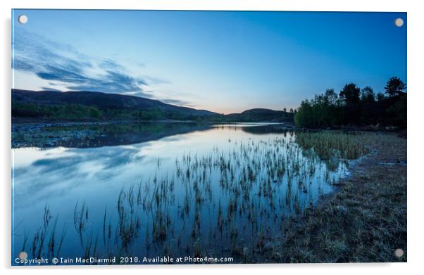 Local Loch Acrylic by Iain MacDiarmid