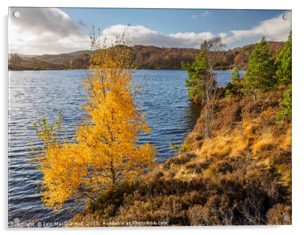 Loch Nam Bàt Acrylic by Iain MacDiarmid