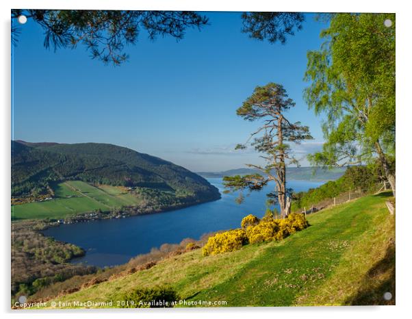 Loch Ness Postcard Acrylic by Iain MacDiarmid
