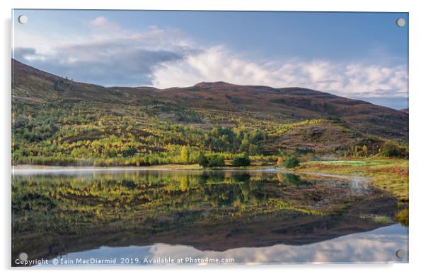Loch Carrie Reflections Acrylic by Iain MacDiarmid