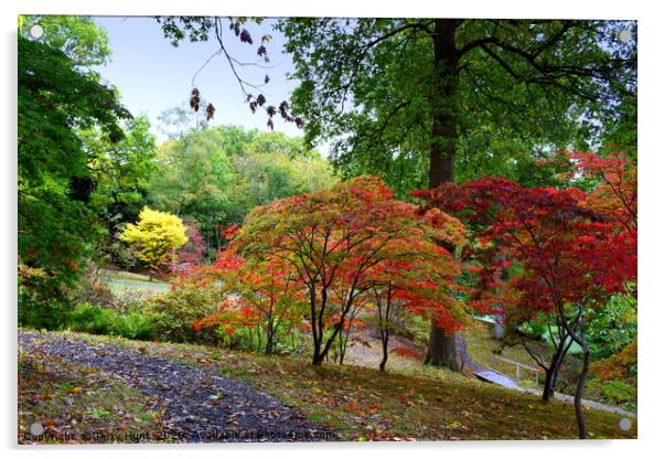 The changing colours of Hole Park gardens  Acrylic by Terry Hunt