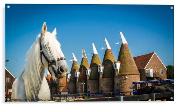 Oast Houses in Kent Acrylic by Terry Hunt