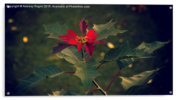 Lalupate Red Flower Acrylic by Nabaraj Regmi