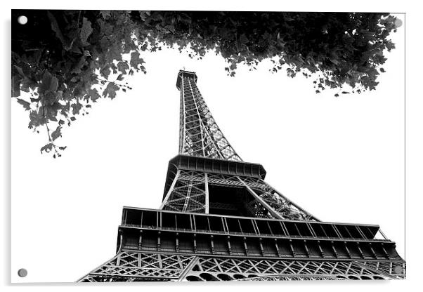   Eiffel Tower  Acrylic by David Chennell