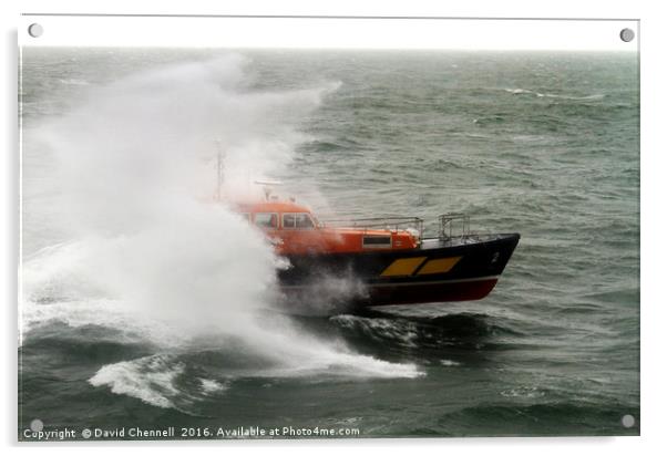 Making A Splash Acrylic by David Chennell