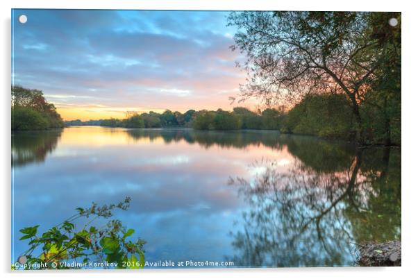 An early morning at Attenborough Nature Reserve Acrylic by Vladimir Korolkov