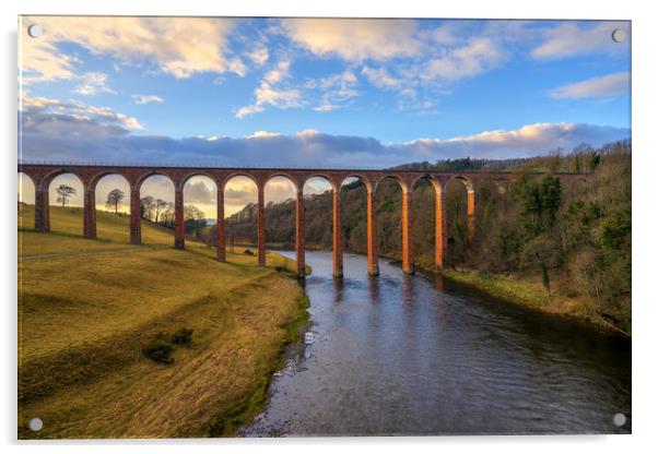 Golden Hour over the Leaderfoot Viaduct Acrylic by Miles Gray