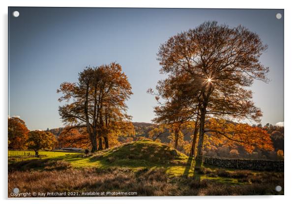 Autumn Trees at Rydal Acrylic by Ray Pritchard